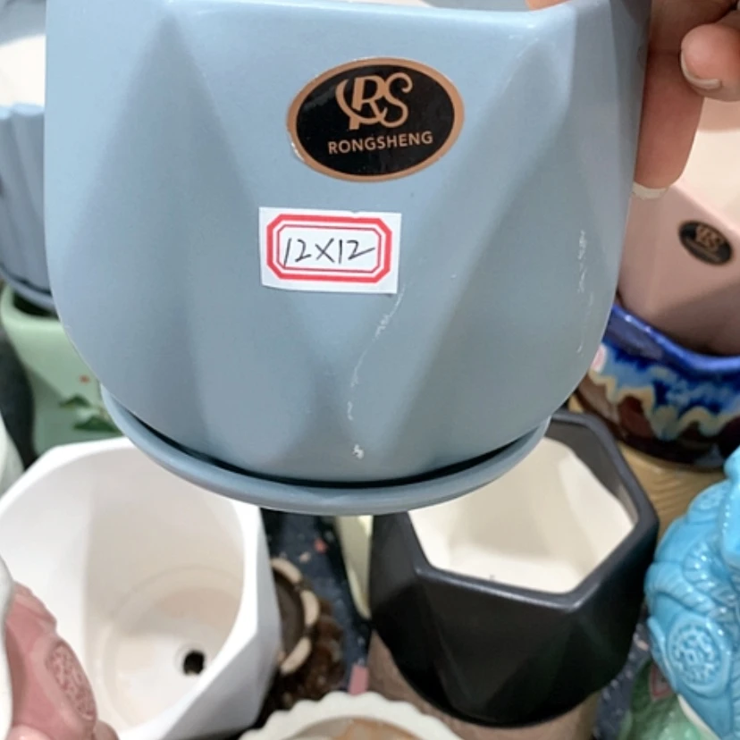 【闪购商品】红陶20CM（含）-50CM（不含）