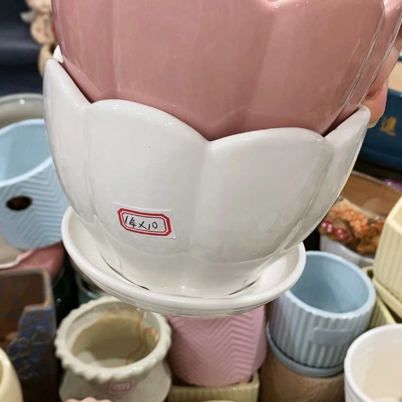 【闪购商品】红陶20CM（含）-50CM（不含）