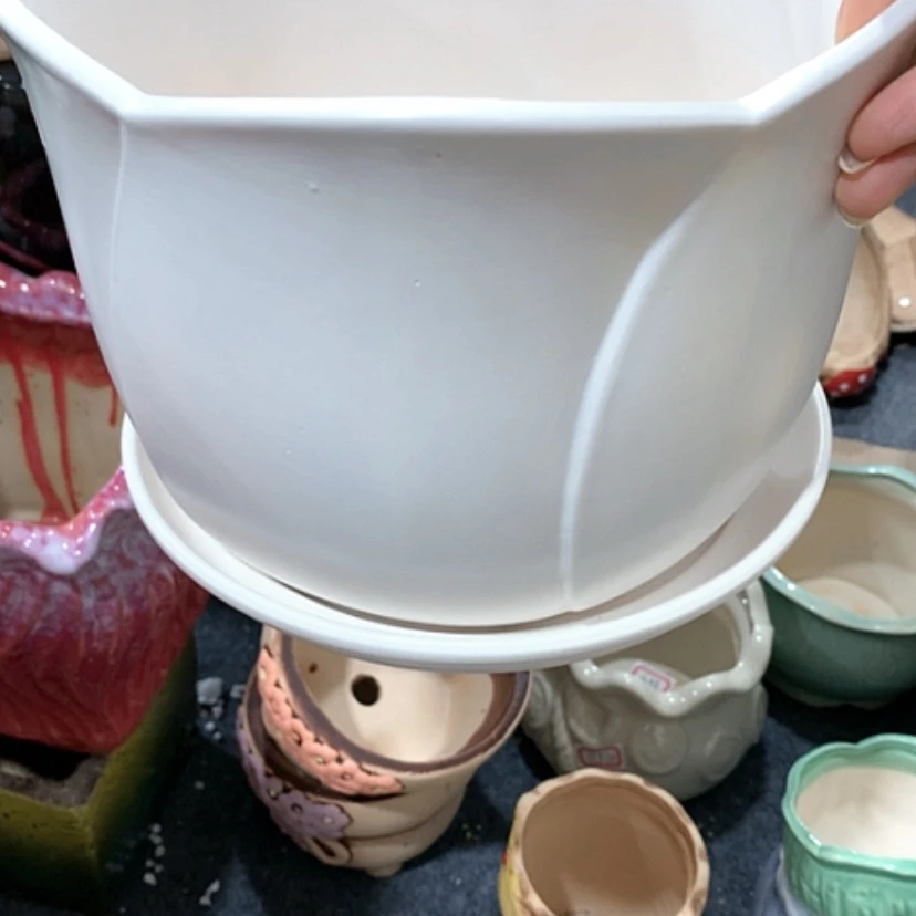 【闪购商品】红陶20CM（含）-50CM（不含）