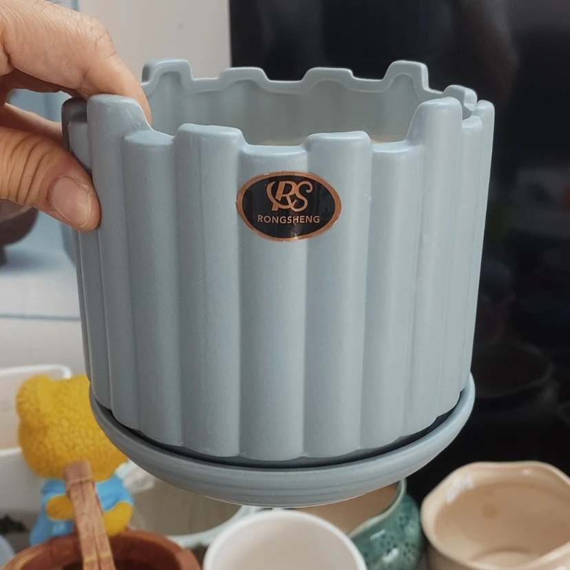 【闪购商品】红陶20CM（含）-50CM（不含）