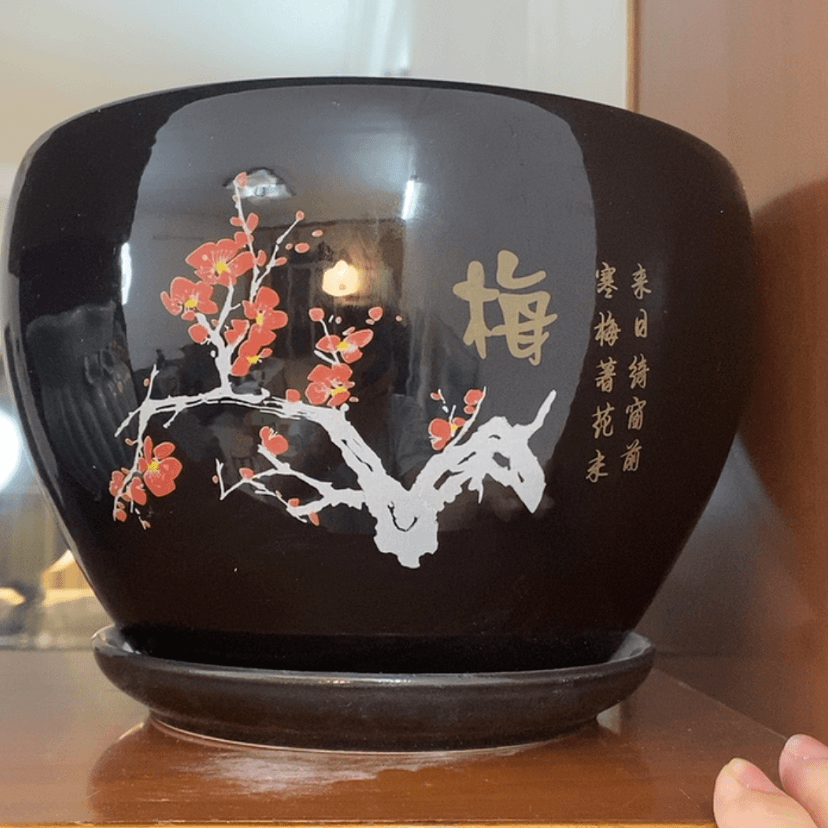 【闪购商品】红陶20CM（含）-50CM（不含）