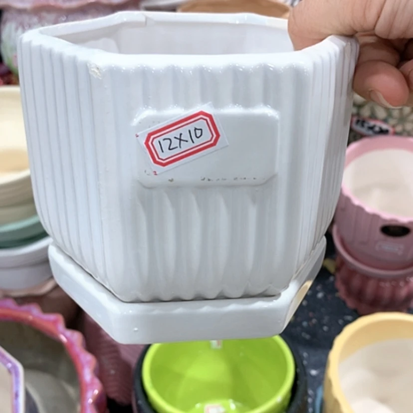 【闪购商品】红陶20CM（含）-50CM（不含）