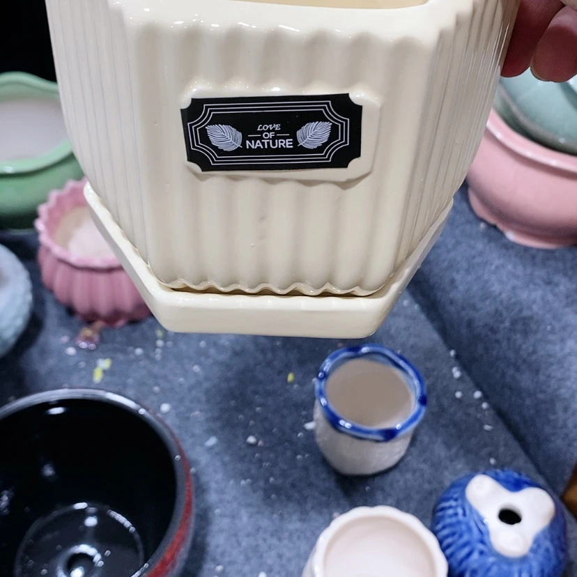 【闪购商品】红陶20CM（含）-50CM（不含）