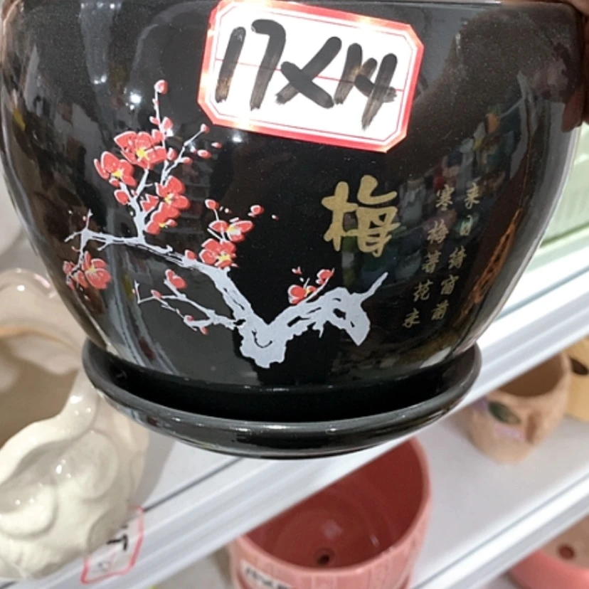 【闪购商品】红陶20CM（含）-50CM（不含）