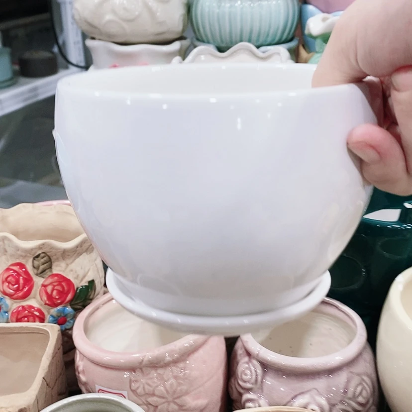 【闪购商品】陶瓷20CM以下