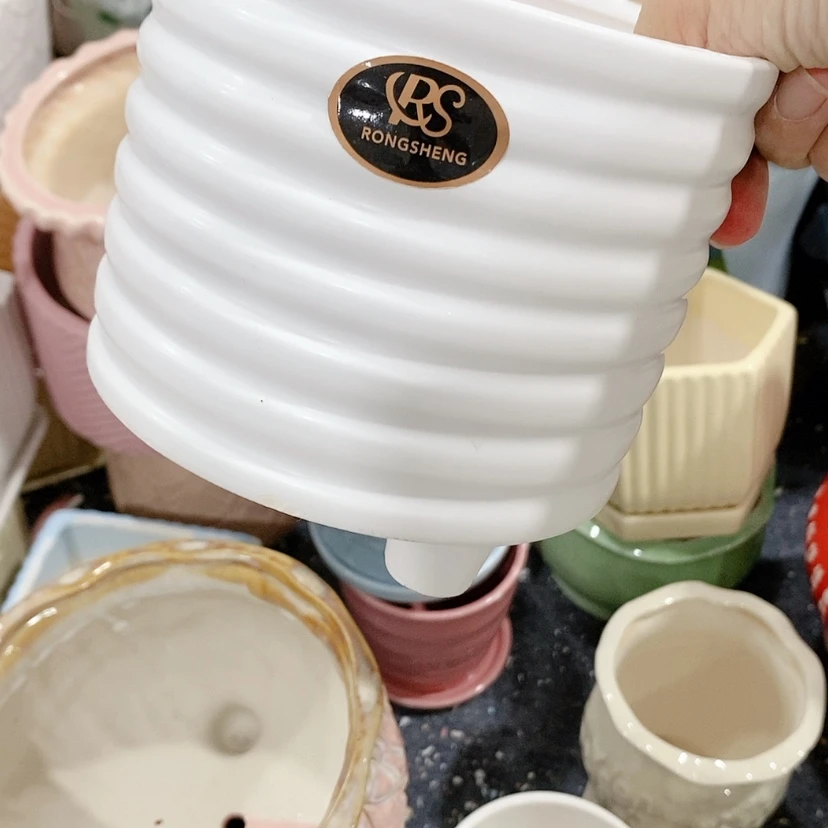 【闪购商品】红陶20CM（含）-50CM（不含）