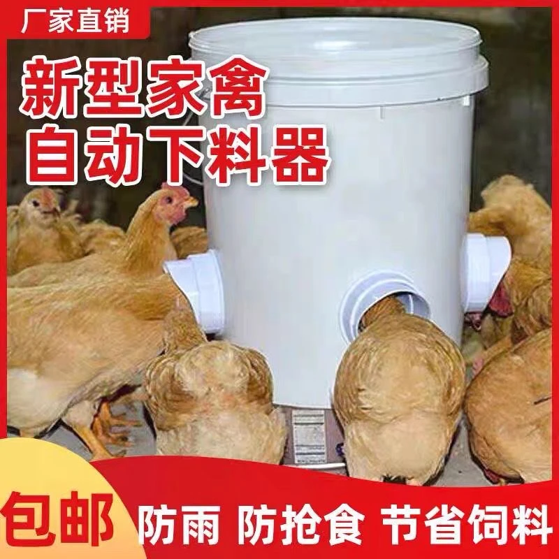 【喂鸡再也没烦恼】自动喂食神器 送安装打孔器 养殖户更省心了!