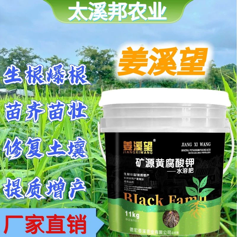 姜溪望 矿源黄腐酸钾水溶肥生姜提苗修复土壤生根