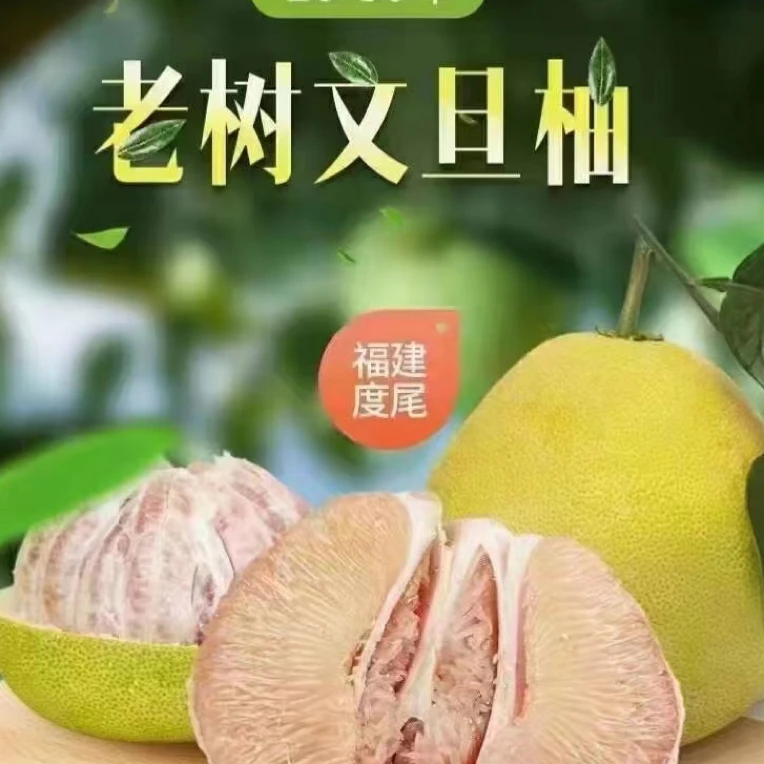 度尾正宗红心文旦柚老树蜜柚 正果当季现采新鲜包邮送上门