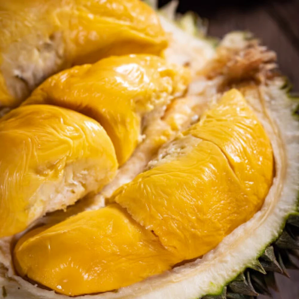 【鲜果猫山王黑刺多品种】进口马来西亚榴莲新鲜水果树熟