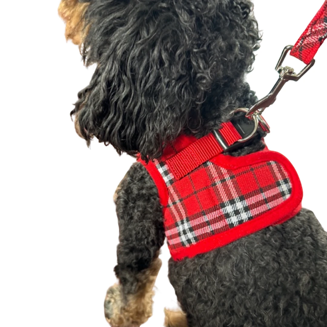 宠物胸背带背心式小型犬牵引绳狗狗遛狗绳舒适透气