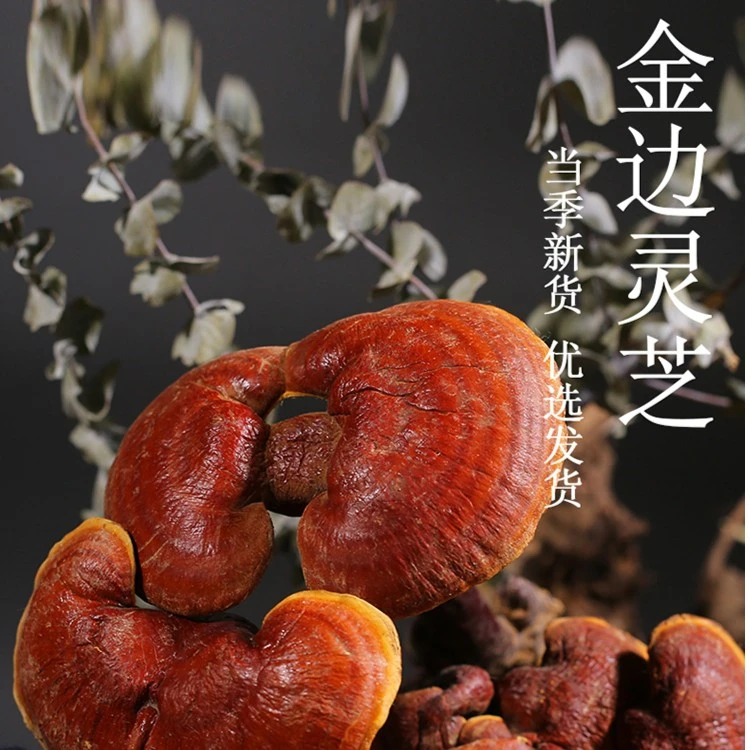 云南下山货=金边灵芝=正宗天然深山灵芝煮水喝