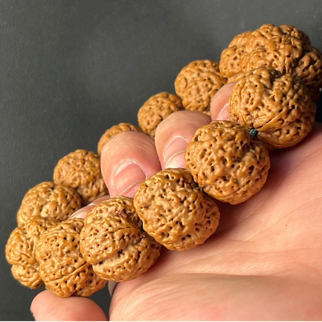 金刚菩提手串五星双龙、密度秒沉、规整