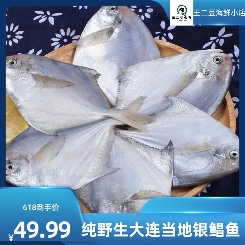 小银鲳鱼4斤  一斤25条左右炸着吃（嫌小勿拍）      顺丰包邮