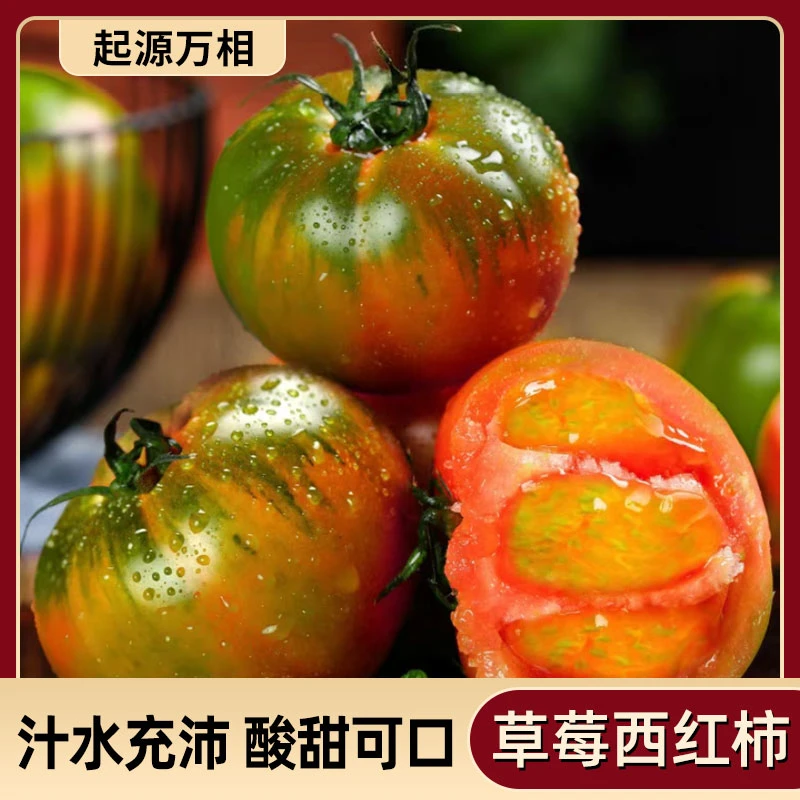 【起源万相汁】草莓西红柿饱满新鲜爆汁酸甜自然