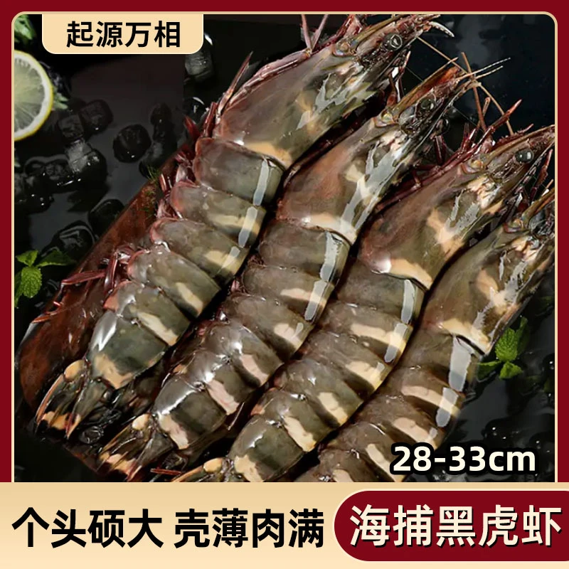 【起源万相】活冻黑虎虾28-33超大只新鲜速冻肉质鲜美