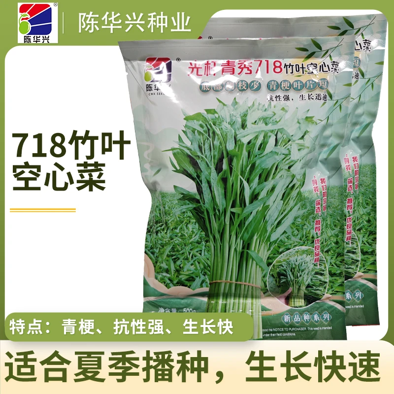 基地种植光杆青秀718竹叶空心菜种子青梗空心菜叶片短食用种植717