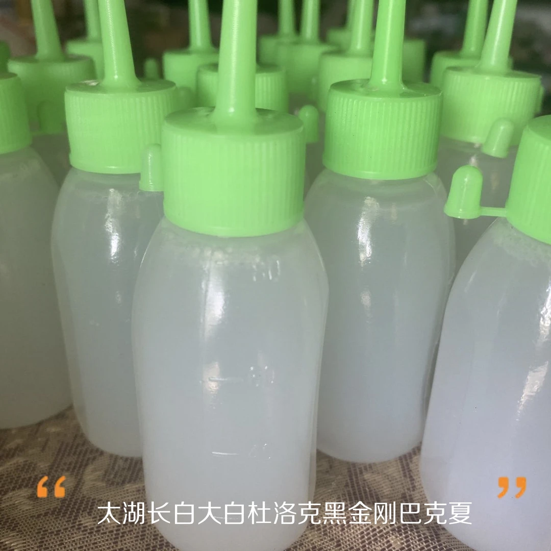 猪精液猪精子猪鲜精原种猪人工授精优质长白大白杜洛克60毫升