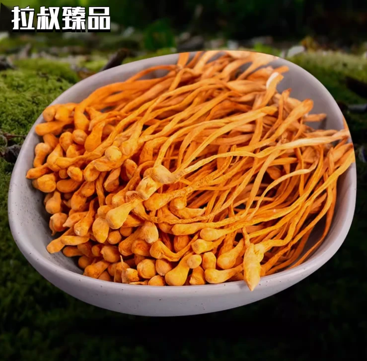 【顺德拉叔臻品】精选头茬虫草花 250g（百干）