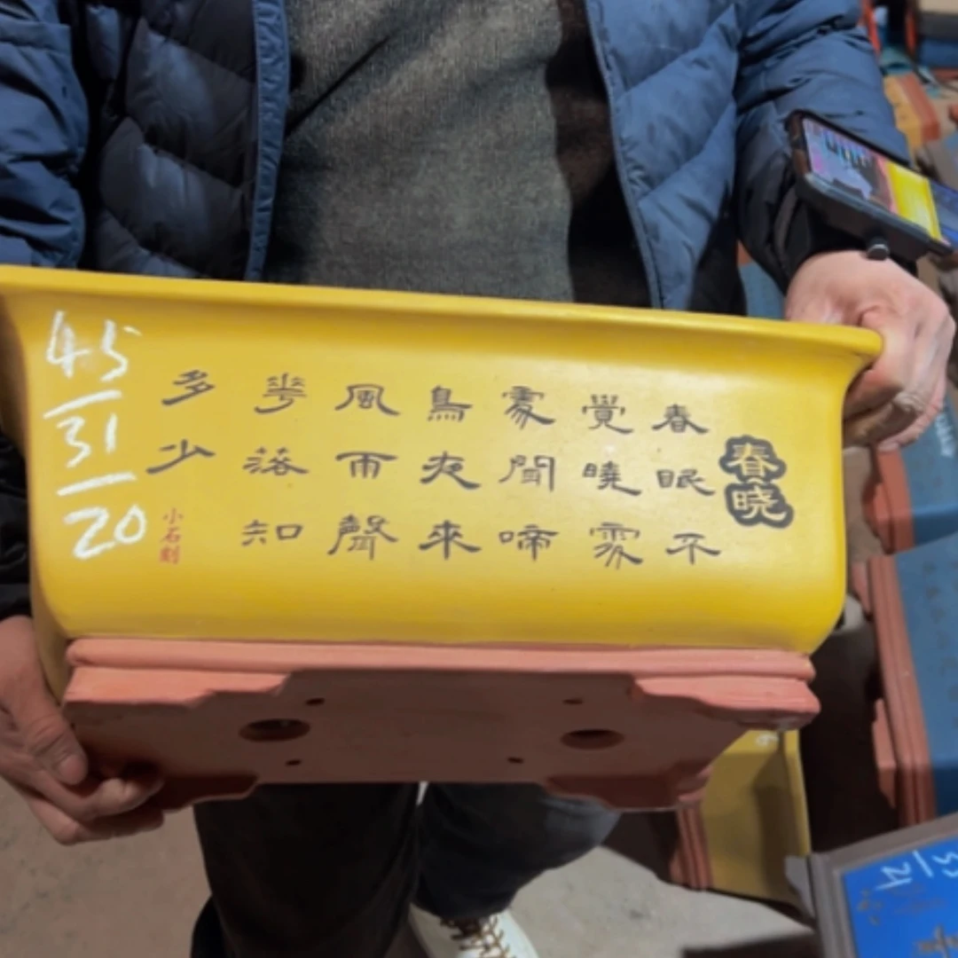 【闪购商品】紫砂花盆