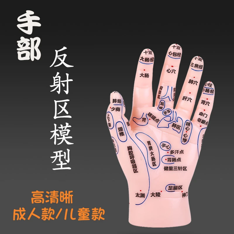 超清晰手部反射区模型中医推拿针灸教学穴位模型成人儿童仿真手掌