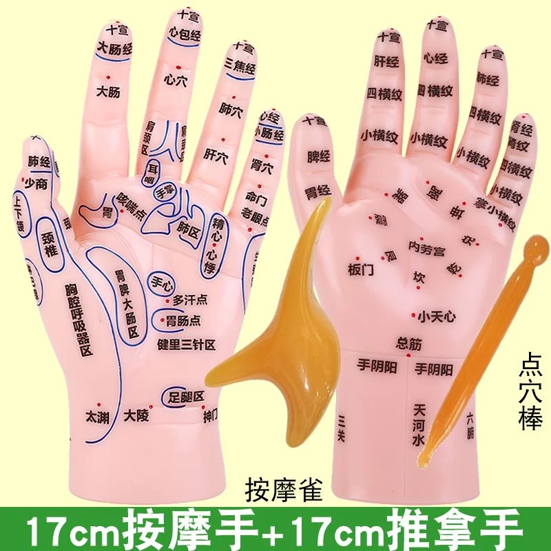 手部穴位模型按摩小儿推拿手单手大字高清手穴反射区刻字模具人体