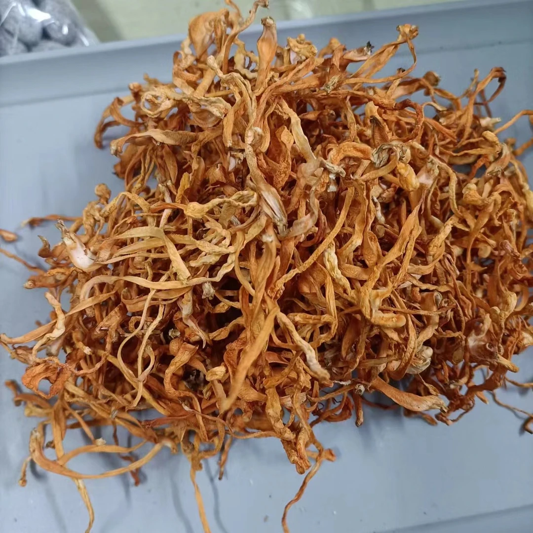 活动干菌汤包虫草花干货煲汤料