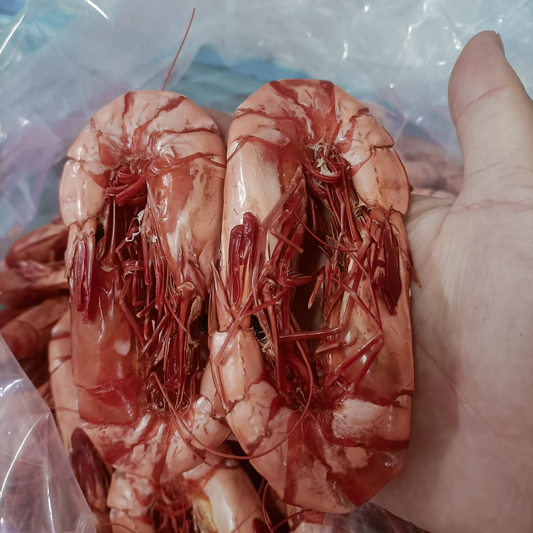 东山虾 对虾 大虾 晒干新鲜，包邮500g
