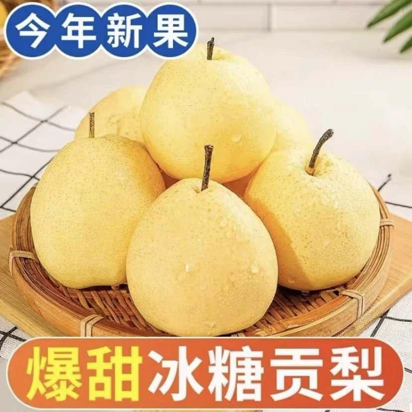 【毛重约3.5斤】产地直采冰糖贡梨,山西酥梨,清甜小时候味道