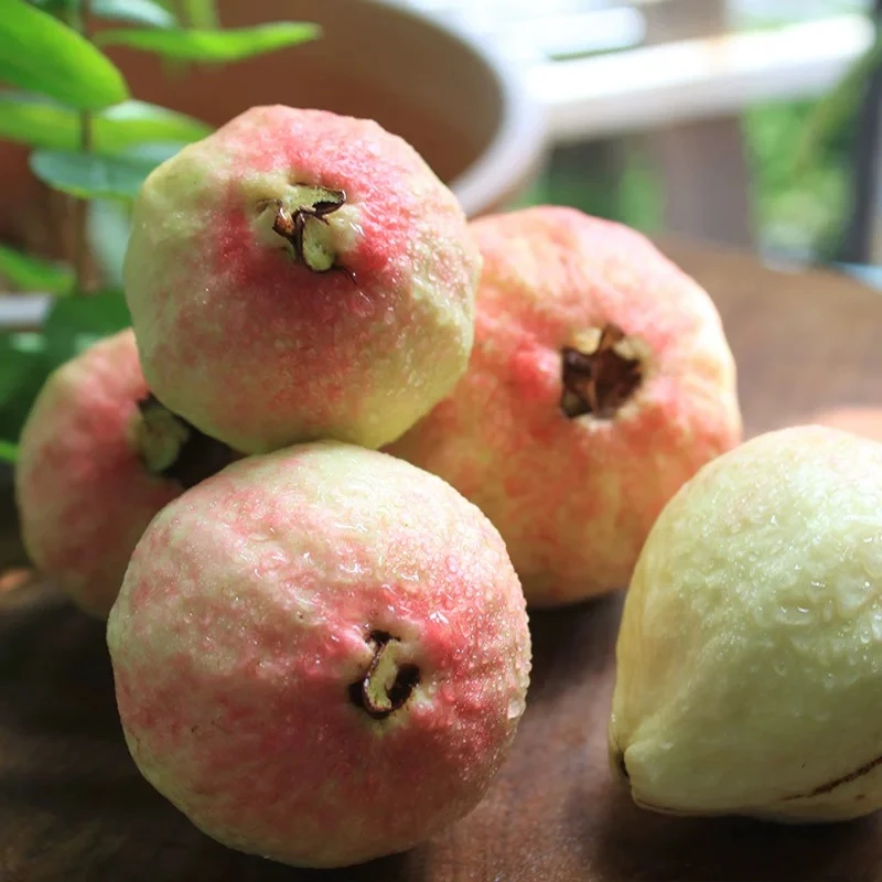 【整箱毛重约3.5斤】精品芭乐，奶油芭乐甜糯香甜，红心芭乐酸甜可口