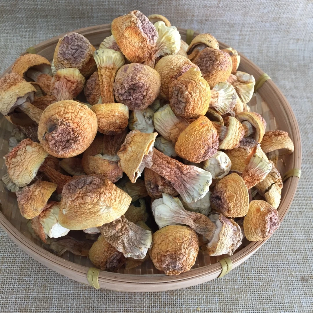 巴西菇干货250g包邮食用菌类干货农家特产新鲜姬松茸