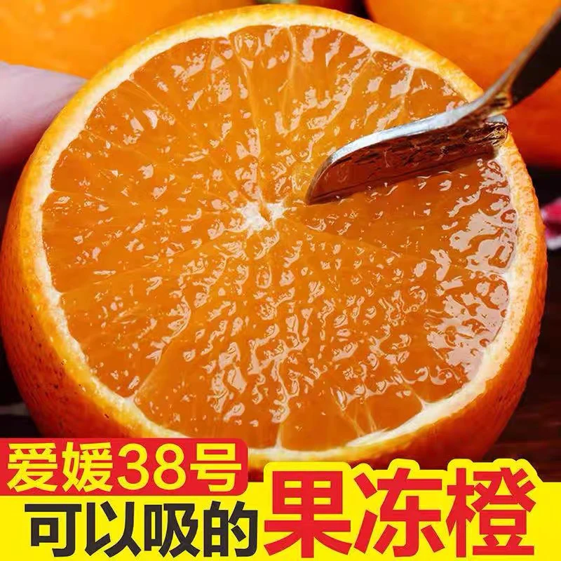 （现摘现发）正宗四川眉山爱媛38号果冻橙4.5斤
