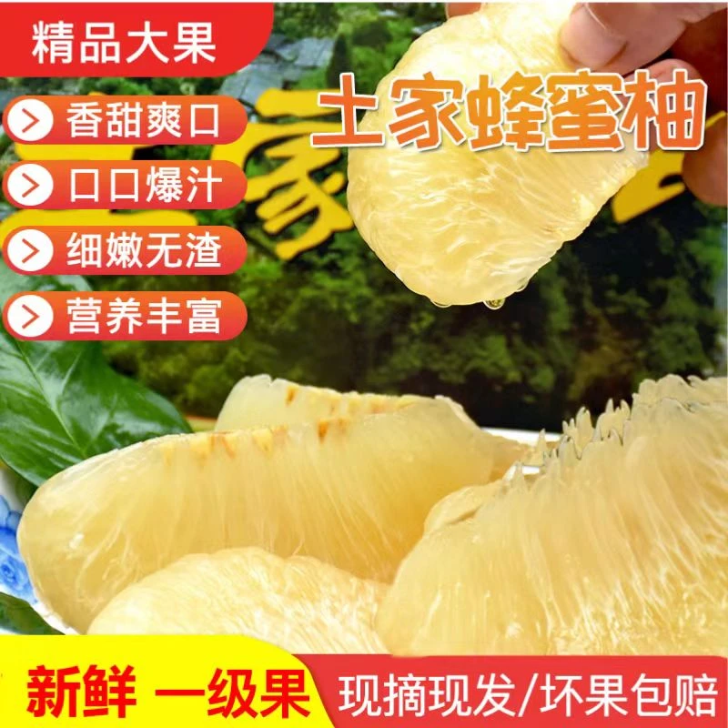 种植土家采摘蜜蜂柚柚子白皮柚清香酸甜爽口大果新鲜产地现摘