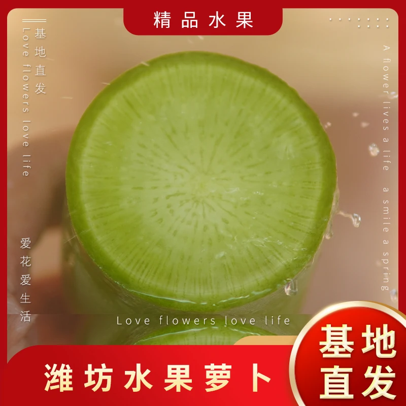 小果5斤正宗潍县水果萝卜萝卜潍县潍坊脆甜多汁不辣不苦风味十足