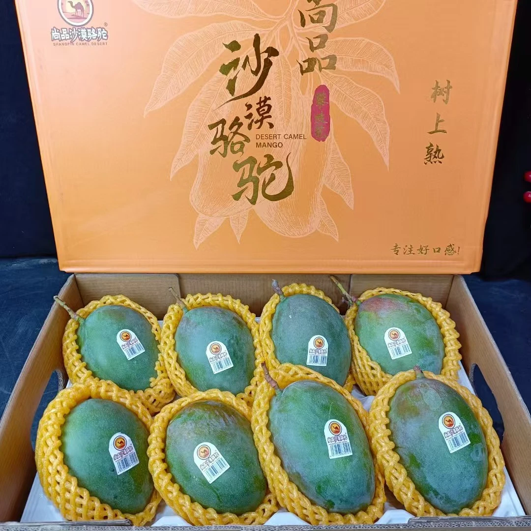 《礼盒》沙漠骆驼芒果《坏果包赔~》