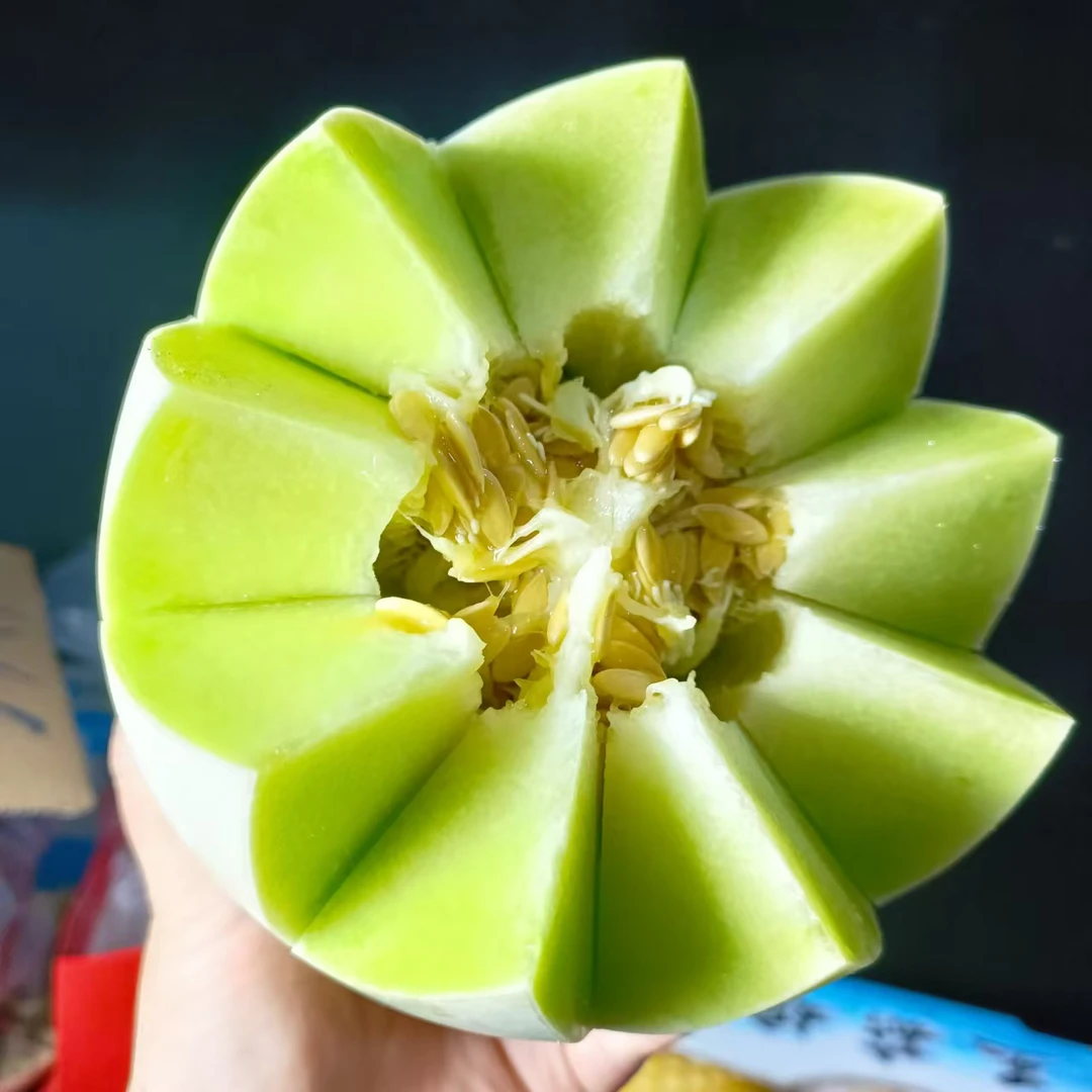 海南奶香蜜瓜《放至两端微软食用》