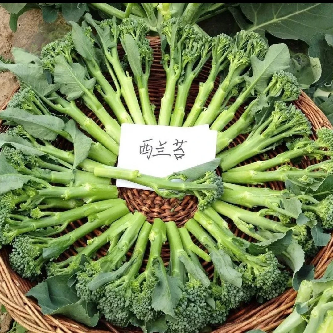 产地云南直发甜杆西兰苔约300g±20/份