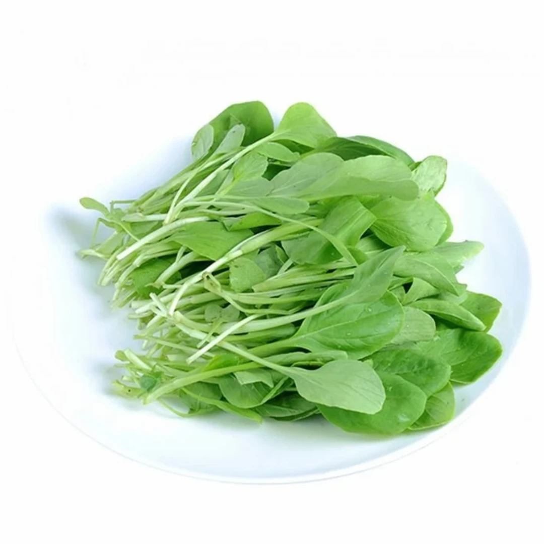 上海直发鸡毛菜约150g/份