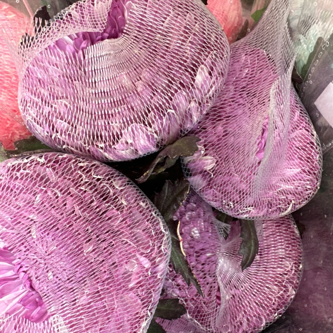 斗南花市代购牡丹菊