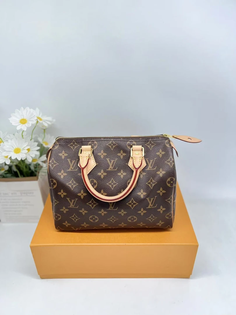 99新 LouisVuitton/路易威登 98新/speedy25老花手提款