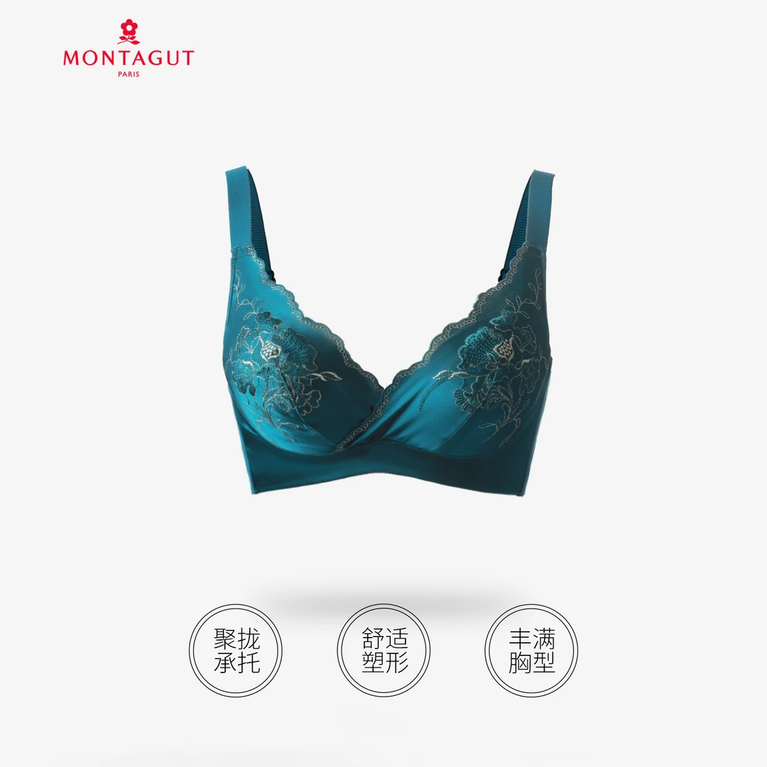 【1.19 嘉一】宫廷重工刺绣聚拢文胸（ABC通杯）