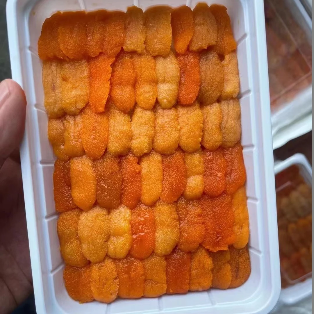 马粪海胆刺身鲜活速冻木盒特级新鲜整条海胆肉海胆黄水饺炒饭商用