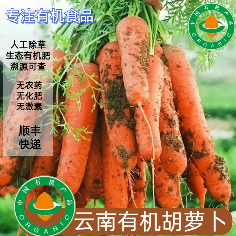 南京国环有机认证，高原有机胡萝卜3斤香甜脆爽无农残可榨汁生态