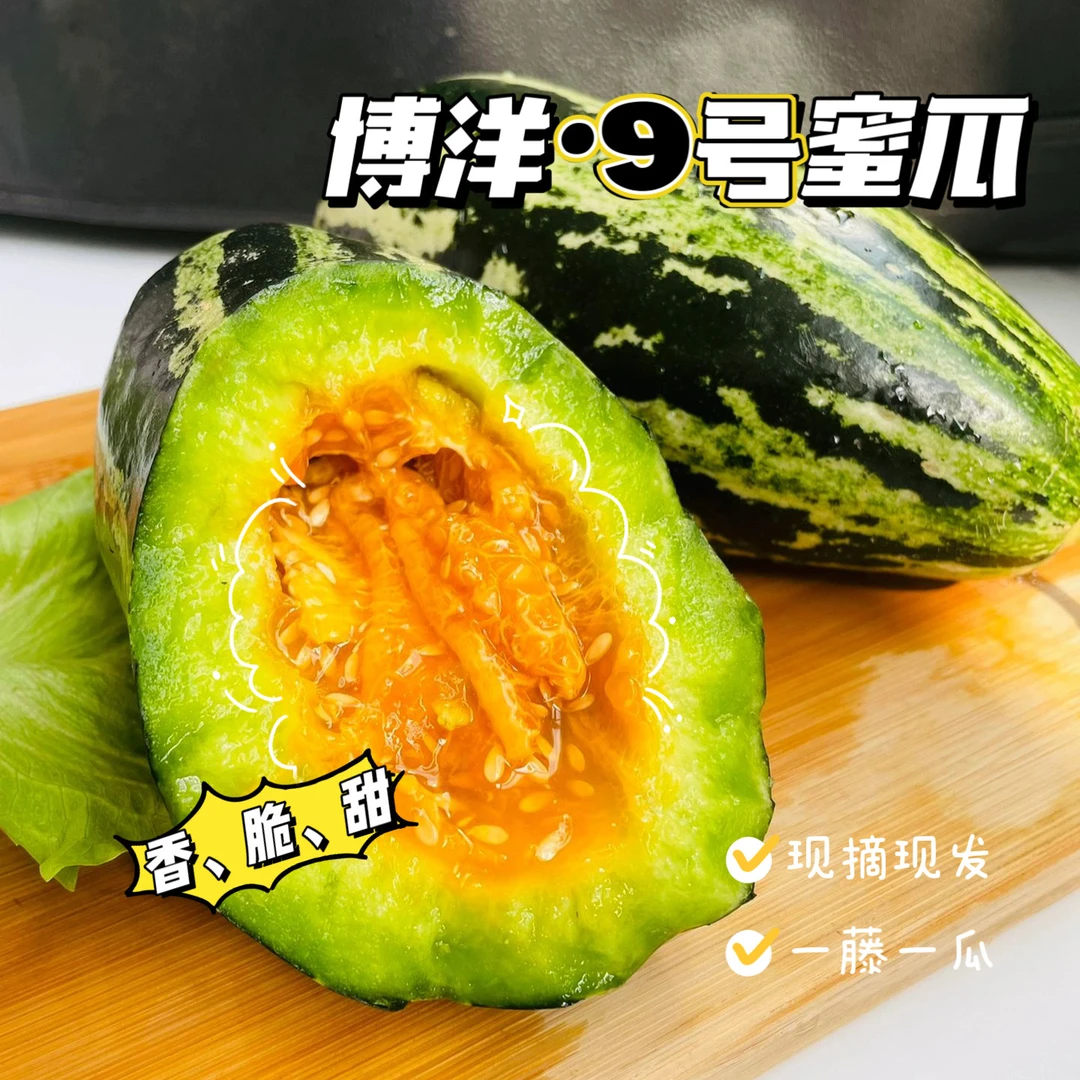博洋甜瓜头茬博洋9号甜瓜现摘现发自然成熟超级好吃顺丰包邮