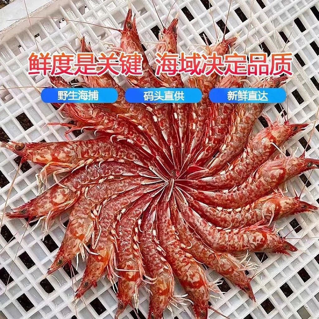 大连 小渔船 桃花虾 玻璃虾 樱花虾 刺身级别