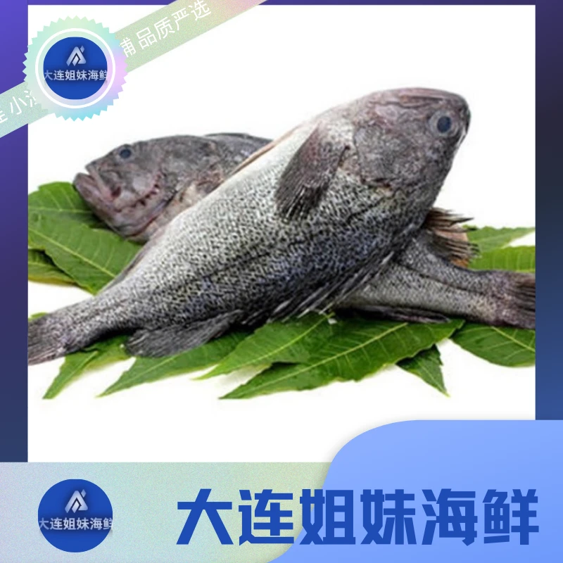 大连 小渔船 黑鱼 黑头鱼 精选