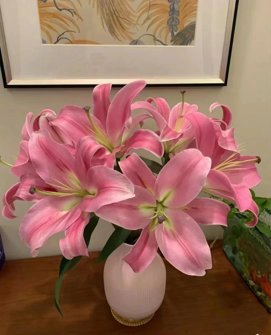 普拉分多香水百合（冻坏拒收不售后）：颜色根据紫外线不同
