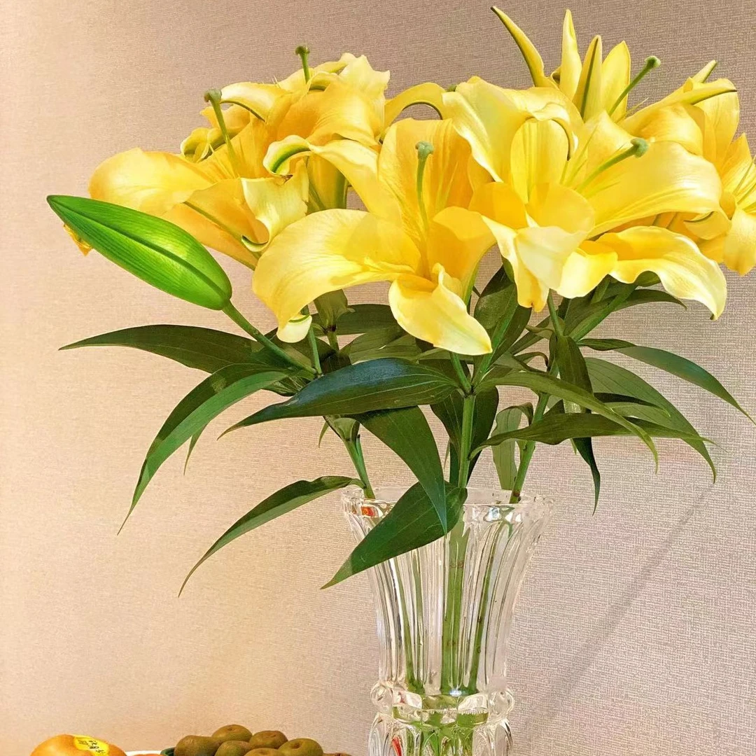 皇帝香水百合 冻坏不售后