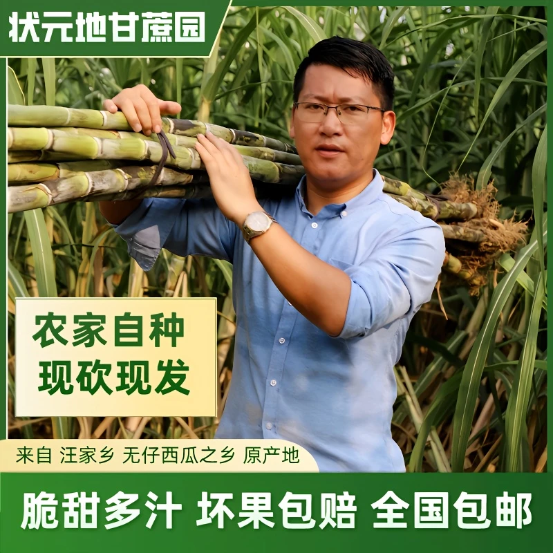 正宗江西老品种青皮甘蔗新鲜薄皮水果甘蔗脆甜多汁十根装圆通包邮
