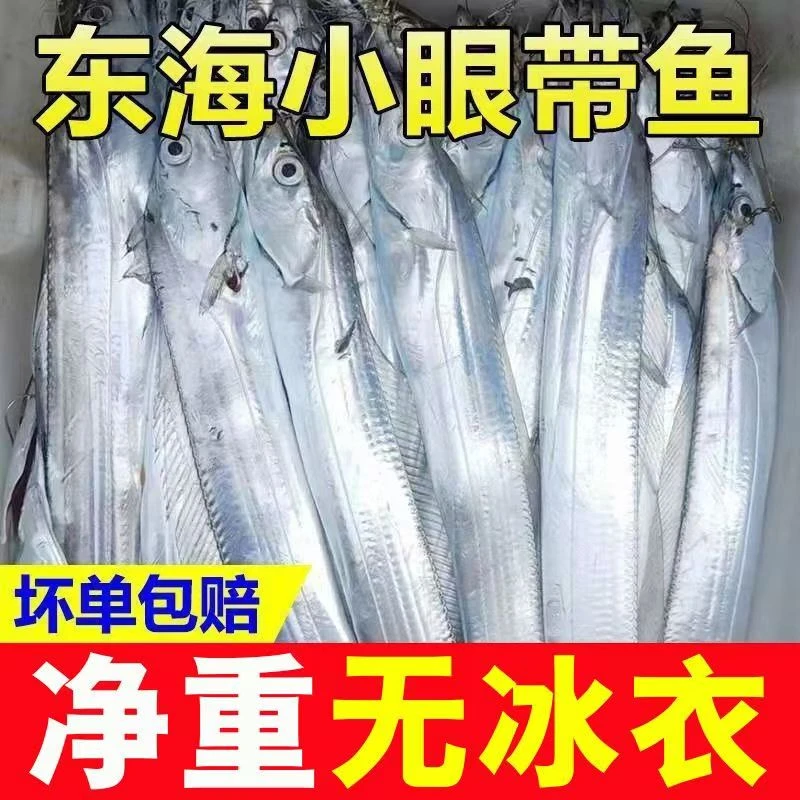 到手净重5斤15条左右整条带鱼无冰】整条带鱼新鲜速冻发货